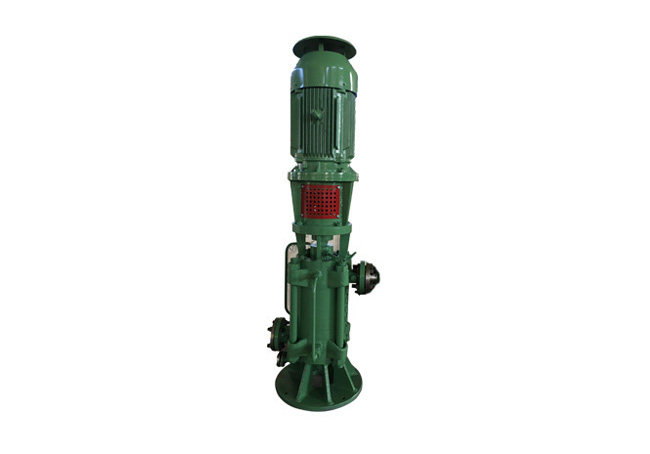 Vertical Multi-stage Centrifugal Pump